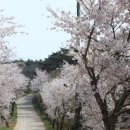 작은수해마을 이미지