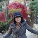 계명산자연휴양림 이미지