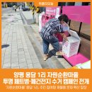 용담1리 이미지