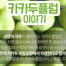 주식회사 플럼엔