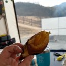 푸라닭전남담양점 | [전남 담양] 담양 금성산성 오토캠핑장 II