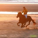 청화목장 이미지