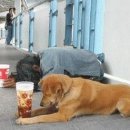 웃으면복이와요 이미지