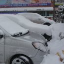 옥정초등학교 이미지