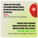 알렉스여행사주 | 베스트셀러 <혼모노> 후기 | 도파민 터지는 현실적 소설 추천, 혼모노 뜻, 우호적감정 해석