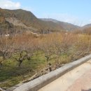 영포농장 이미지