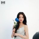 달링