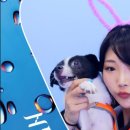 인생네컷 파주야당점 이미지