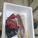 자연산바다 이미지