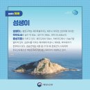 제주 사수도 바닷새류(흑비둘기 슴새)번식지 | 추자도를 지키는 마스코트 -제주 섬생이-