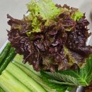 교동왕족발 이미지