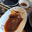 칠암거북 이미지