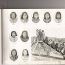 야시들 이미지