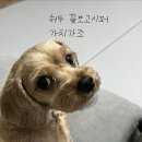 들숨날숨 이미지