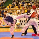 동해태권도체육관 이미지