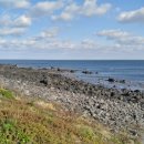 기형목장 이미지