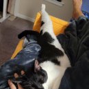 걸치기농장 이미지