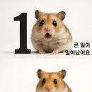 클럽워시 네이버블로그