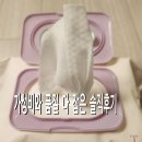 트러스트파트너스 | [가성비 물티슈 추천] 베베숲 트러스트 플러스 캡형 엠보싱! 아이부터 반려동물까지 안심하고 써요