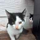 새재로그하우스 이미지