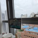 노아브런치카페 | [안양/비산동] 점심 먹으러 노아브런치 방문한 내돈내산 후기