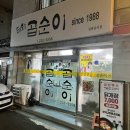 태화곱순이 이미지