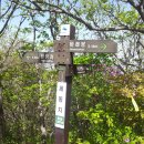 팔령치