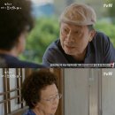 디어마이프렌즈