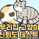 287. 우리집 고양이 신뢰도 테스트! 이미지