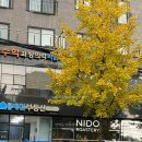 연서 공인중개사사무소 이미지