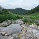 쉬었다가세요 식당 앞 다리밑 이미지