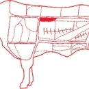 암소제비추리 이미지