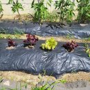 평내초등학교(병설) 이미지