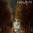 사진사랑 이미지