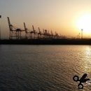 장군일식 이미지