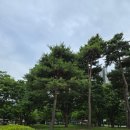 운동장화장실(남쪽) 이미지