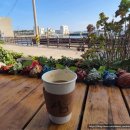 제주 비양도 호니토 | 제주 연수 2일차 시작｜한림항에서 비양도 당일치기 섬 탐방 후기!!