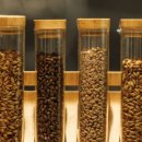 원모어데이2 이미지