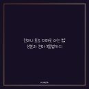 천마니 효능 제대로 아는 법: 성분과 천마 복용법까지