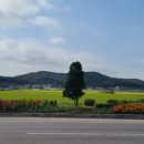 찬우물농산
