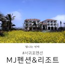 엠제이(MJ)펜션 | 서귀포펜션 단란한 MJ펜션 할인중