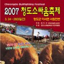소싸움
