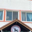 멍애견카페 | 넓은 잔디밭, 운동장 있는 여수애견카페 캐나다멍빌리지 솔직후기