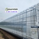 알파크린 이미지