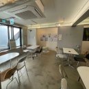 카이브 | 신사 가로수길 디저트 분위기 맛집 카페 카이브 내돈내산 후기(애견동반/주차)