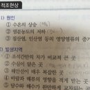 교수님 적조현상 관련 발생지역 질문드려요~~ 이미지