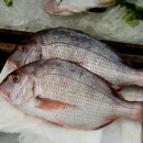 교동시장 이미지