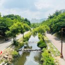 성남종합운동장 게이트볼장 | 분당 중앙공원 주차장 데이트 드라이브 코스