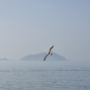 송이산