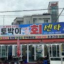 대박회센타